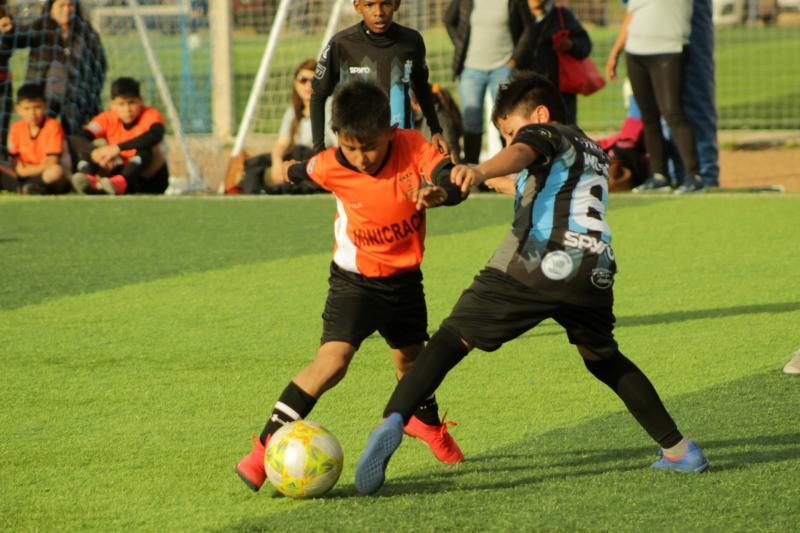 LIGA DE LAS AMÉRICAS 2019